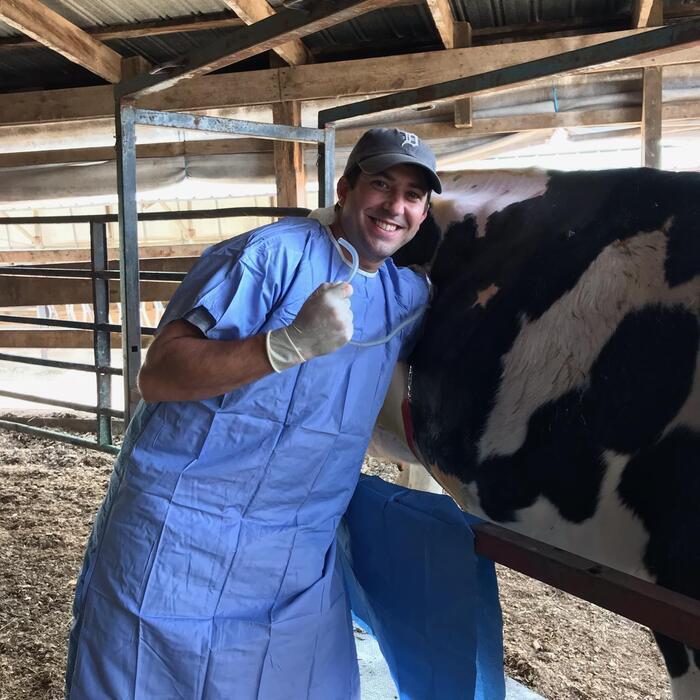 Cat Cow Vet Cat Cow Veterinary Clinic 14 Photos 12 Reviews