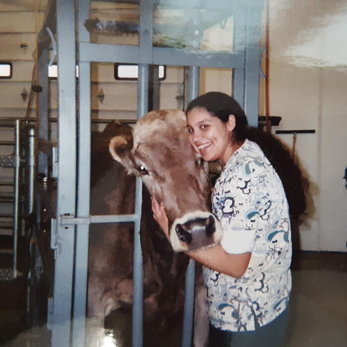 Cat Cow Vet Animal Veterinary Fda Cat & cow vet clinic. Onepiecedua